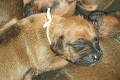 macabeela_2003-04-08_023