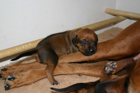 macabeela_IMG_5784